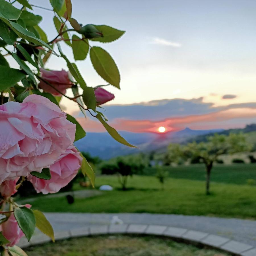 Agriturismo La Casetta - ospitalità rurale familiare Montese Esterno foto