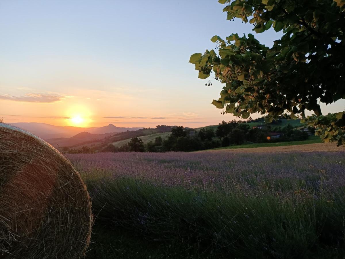Agriturismo La Casetta - ospitalità rurale familiare Montese Esterno foto