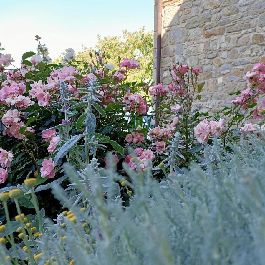 Agriturismo La Casetta - ospitalità rurale familiare Montese Esterno foto